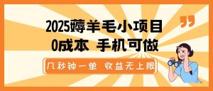 2025薅羊毛小项目，0成本 手机可做，几秒钟一单，收益无上限-泰戈创艺资源库