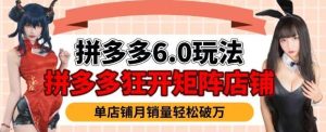 拼多多虚拟商品暴利6.0玩法，轻松实现月入过W-泰戈创艺资源库