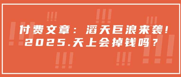 付费文章：滔天巨浪来袭！2025天上会掉钱吗？-泰戈创艺资源库