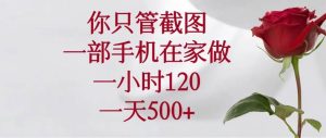 (14248期)你只管截图,一部手机在家做,一小时120,一天500+-泰戈创艺资源库