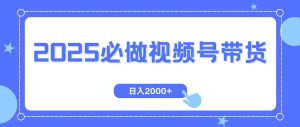 （14259期）视频号带货，纯自然流，起号简单，爆率高轻松日入2000+-泰戈创艺资源库
