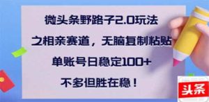（14334期）微头条野路子2.0玩法之相亲赛道，无脑搬砖复制粘贴，单账号日稳定300+…-泰戈创艺资源库