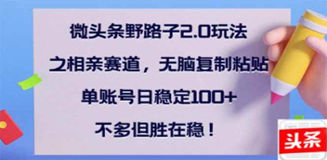 （14334期）微头条野路子2.0玩法之相亲赛道，无脑搬砖复制粘贴，单账号日稳定300+…-泰戈创艺资源库