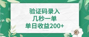 (14221期)验证码录入,几秒一单,单日收益200+-泰戈创艺资源库