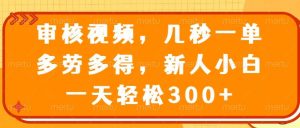 (14294期)审核视频,几秒一单,多劳多得,新人小白一天轻松300+-泰戈创艺资源库