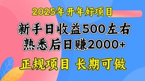（14076期）2025开年好项目，单号日收益2000左右-泰戈创艺资源库