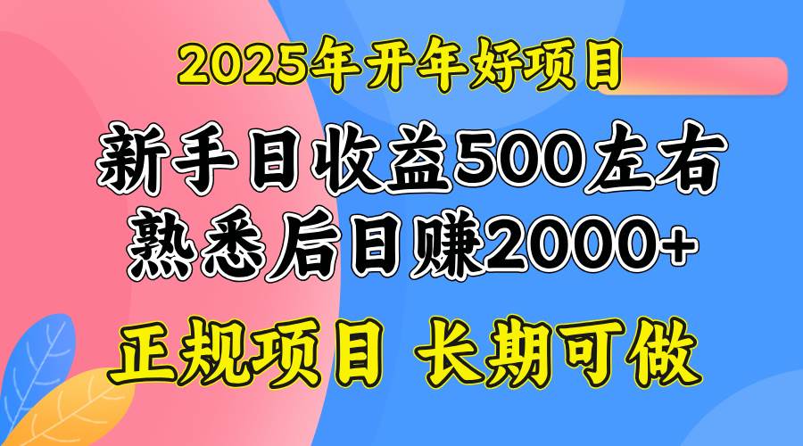 （14076期）2025开年好项目，单号日收益2000左右-泰戈创艺资源库