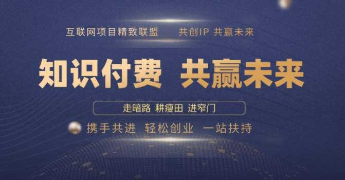 别人苦寻无果，为何他们靠知识付费卖项目 2025 年轻松年入100个?【揭秘】-泰戈创艺资源库