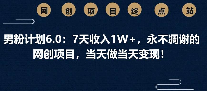 男粉计划6.0：7天收入1W+，永不凋谢的网创项目，当天做当天变现！-泰戈创艺资源库