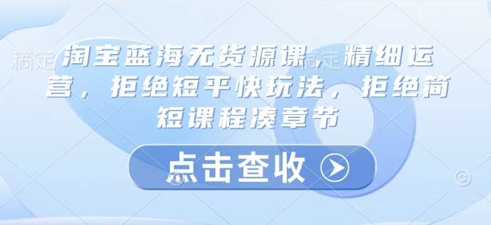 淘宝蓝海无货源课，精细运营，拒绝短平快玩法，拒绝简短课程凑章节-泰戈创艺资源库