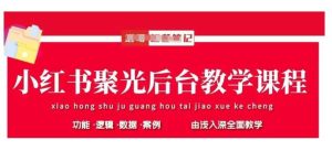 小红书聚光后台教学，小红书聚光投放的基本原理、策略和实践操作-泰戈创艺资源库