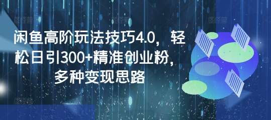 闲鱼高阶玩法技巧4.0，轻松日引300+精准创业粉，多种变现思路-泰戈创艺资源库