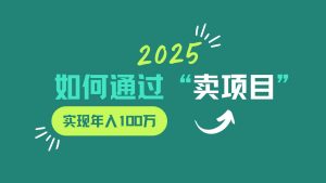2025年如何通过“卖项目”实现年入100w-泰戈创艺资源库
