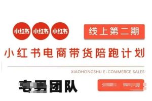 小红书电商带货课2期，月利润20个的小红书电商的有货源，无货源，虚拟产品，付费投流等整套玩法-泰戈创艺资源库