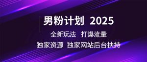 男粉计划2025  全新玩法打爆流量 独立网站 独立资源后台扶持-泰戈创艺资源库
