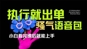 （14170期）爆火全网的开车导航骚气语音包,只要执行就出单，小白看完课程就能实操…-泰戈创艺资源库