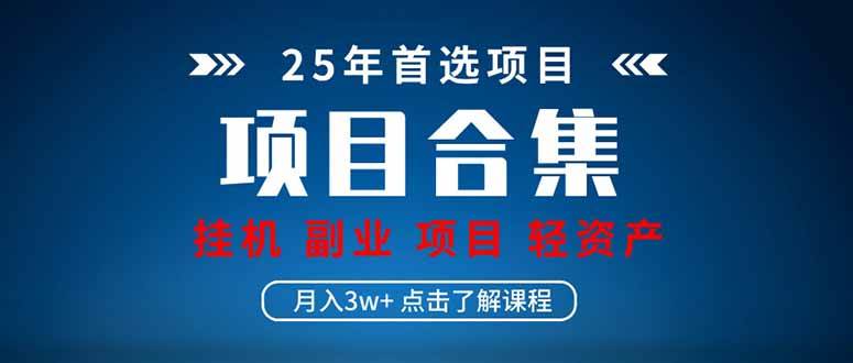 （14175期）2025 实操项目合集 挂机类型 直播类型 轻资产创业类型 课程分享各项目…-泰戈创艺资源库