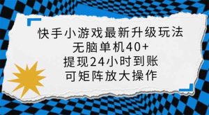 （14166期）快手小游戏最新版升级玩法，新风口，无脑单机日入40+，可批量放大，小…-泰戈创艺资源库