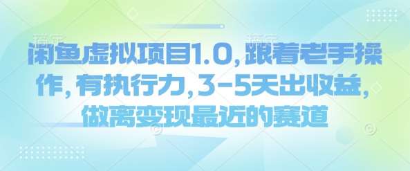 闲鱼虚拟项目1.0，跟着老手操作，有执行力，3-5天出收益，做离变现最近的赛道-泰戈创艺资源库