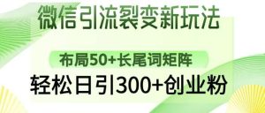 微信引流裂变新玩法:布局50+长尾词矩阵,轻松日引300+创业粉-泰戈创艺资源库