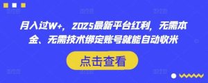 月入过W+，2025最新平台红利，无需本金、无需技术绑定账号就能自动收米-泰戈创艺资源库