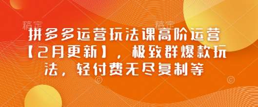 拼多多运营玩法课高阶运营【2月更新】，极致群爆款玩法，轻付费无尽复制等-泰戈创艺资源库