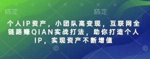 个人IP资产,小团队高变现,互联网全链路赚QIAN实战打法,助你打造个人IP,实现资产不断增值-泰戈创艺资源库