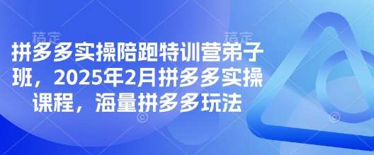 拼多多实操陪跑特训营弟子班，2025年2月拼多多实操课程，海量拼多多玩法-泰戈创艺资源库