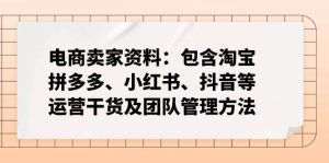 (14354期)电商卖家资料:包含淘宝、拼多多、小红书、抖音等运营干货及团队管理方法-泰戈创艺资源库