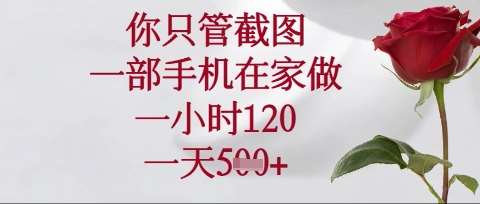 你只管截图，一部手机在家操作，一小时120.一天5张【揭秘】-泰戈创艺资源库