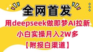用deepseek做即梦Ai拉新 小白实操月入过W+【附报白渠道】-泰戈创艺资源库