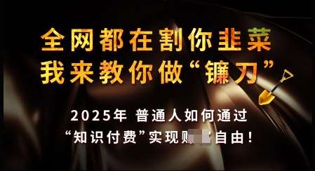 知识付费如何做到月入过W+，2025我来教你做“镰刀”【揭秘】-泰戈创艺资源库