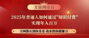 （14466期）【网创项目终点站-镰刀训练营超级IP合伙人】25年普通人如何通过“知识…-泰戈创艺资源库