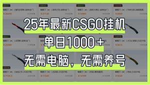（14178期）25年最新CSGO挂机系统，单日1000+，无需电脑，无需养号，0基础可上手-泰戈创艺资源库