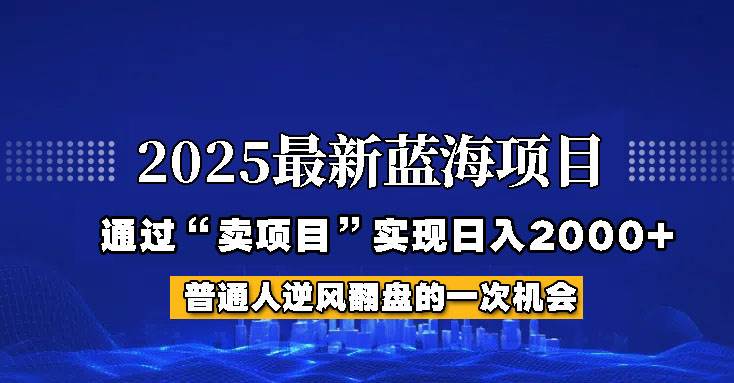 2025年蓝海项目，如何通过“网创项目”日入2000+-泰戈创艺资源库