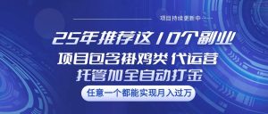 25年推荐这10个副业 项目包含褂鸡类、代运营托管类、全自动打金类-泰戈创艺资源库