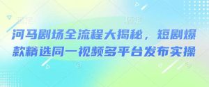 河马剧场全流程大揭秘,短剧爆款精选同一视频多平台发布实操-泰戈创艺资源库