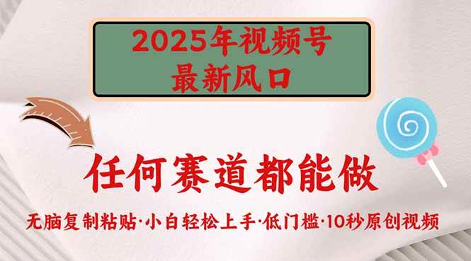 （14453期）2025年视频号新风口，低门槛只需要无脑执行-泰戈创艺资源库