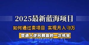 2025蓝海项目，普通人如何通过卖项目，实现月入过W，全过程【揭秘】-泰戈创艺资源库