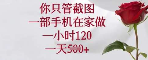 你只管截图，一部手机在家做，一小时120.一天5张【揭秘】-泰戈创艺资源库