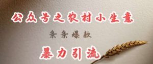 deepseek写农村小项目，条条爆款，暴力引流-泰戈创艺资源库