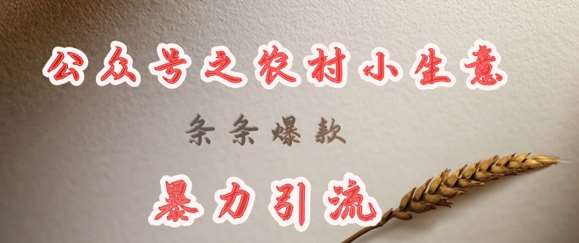 deepseek写农村小项目，条条爆款，暴力引流-泰戈创艺资源库