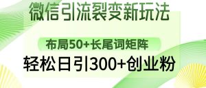 (14451期)微信引流裂变新玩法:布局50+长尾词矩阵,轻松日引300+创业粉-泰戈创艺资源库