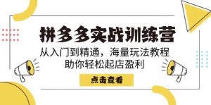 (14392期)拼多多实战训练营,从入门到精通,海量玩法教程,助你轻松起店盈利-泰戈创艺资源库