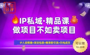 (14406期)2025年“IP私域·密训精品课”,日赚3000+小白避坑年赚百万,暴力引流…-泰戈创艺资源库