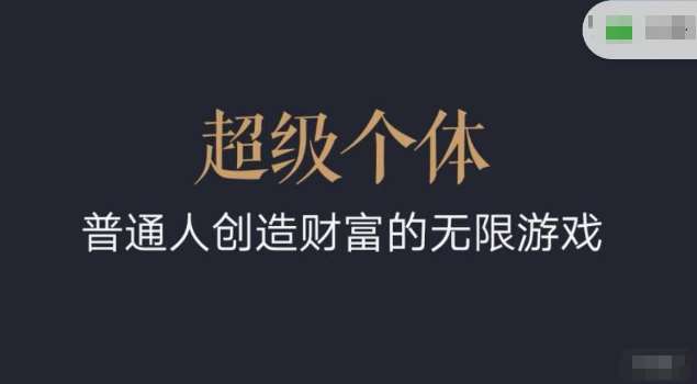 超级个体2024-2025翻盘指南，普通人创造财富的无限游戏-泰戈创艺资源库