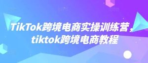 TikTok跨境电商实操训练营，tiktok跨境电商教程-泰戈创艺资源库