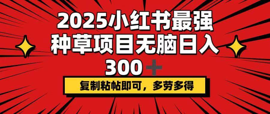 （14375期）2025小红书最强种草项目，无脑日入300+，复制粘帖即可，多劳多得-泰戈创艺资源库