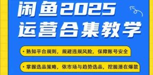 2025闲鱼电商运营全集，2025最新咸鱼玩法-泰戈创艺资源库