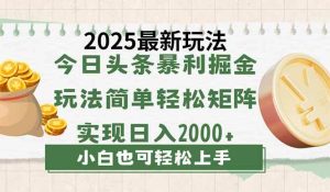 （14120期）今日头条2025最新玩法，思路简单，复制粘贴，轻松实现矩阵日入2000+-泰戈创艺资源库